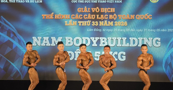 Link vào nhà cái NEW88