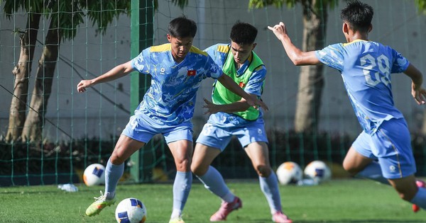 NEW88 cược thể thao