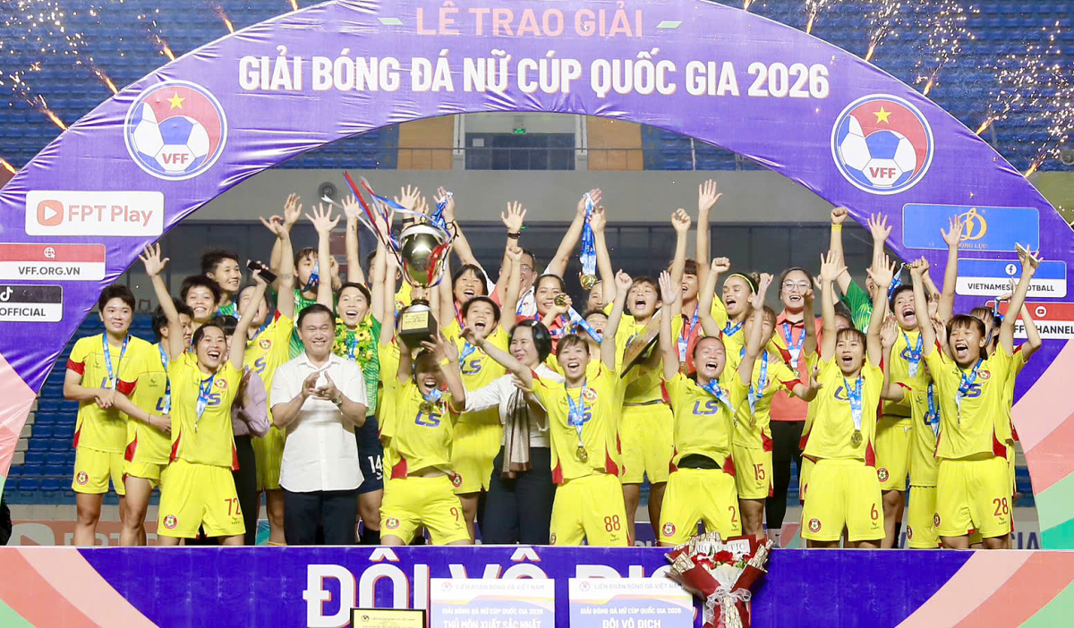 NEW88 cược bóng đá