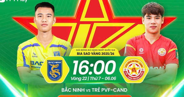 NEW88 cược bóng đá